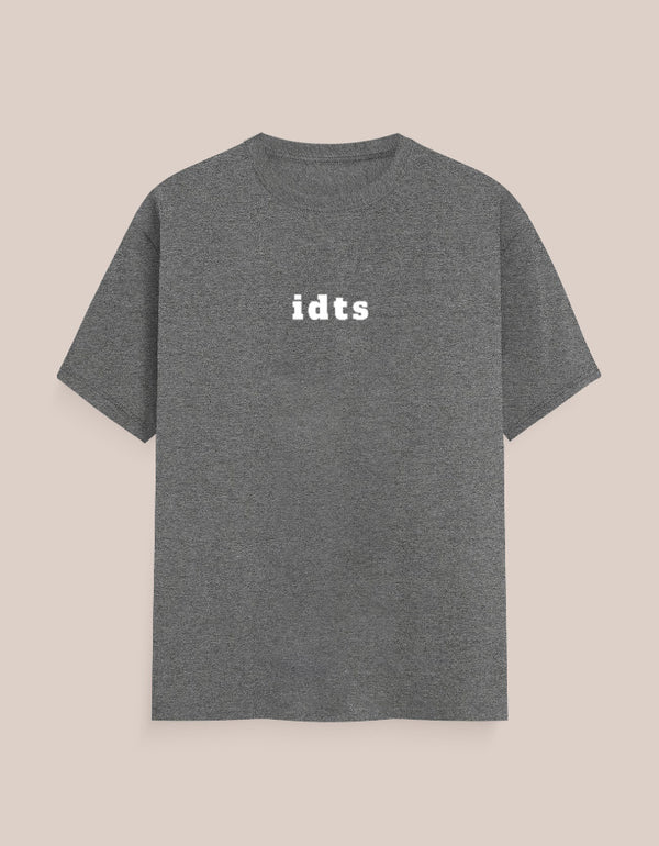 Gray t-shirt with 'idts' text on a beige background
